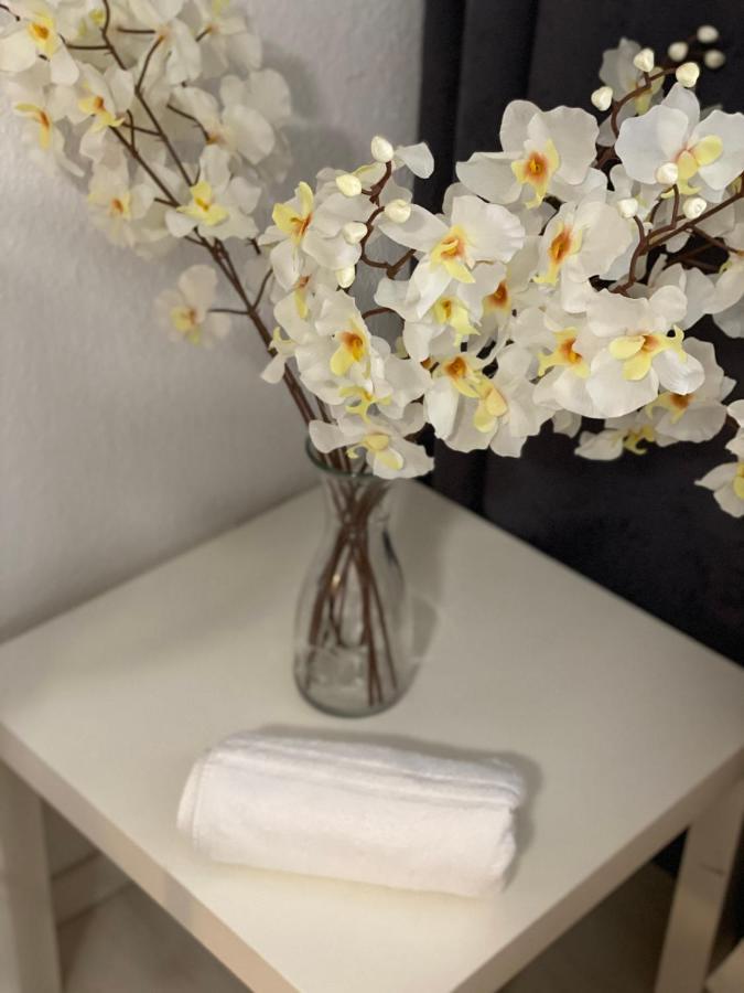 Central Shared Apartment, Friesenplatz 科隆 外观 照片